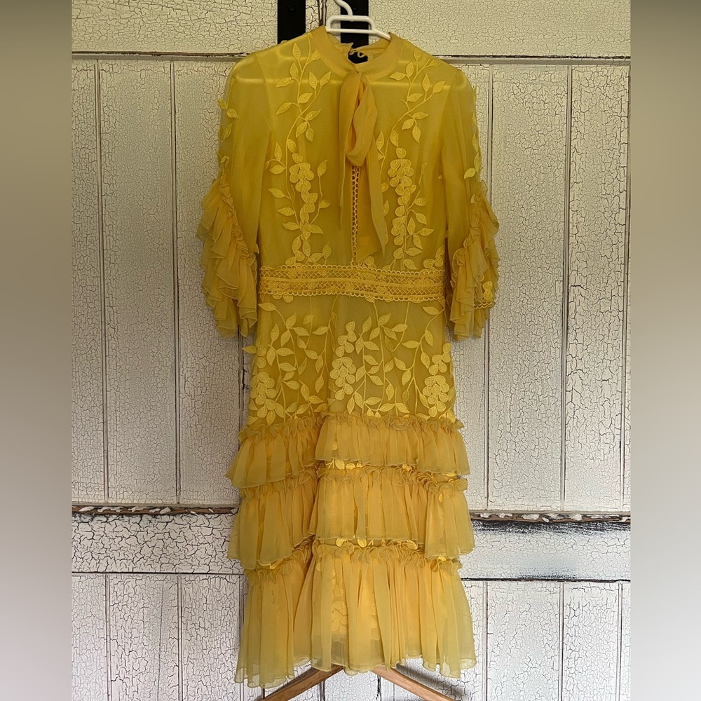 Gorgeous yellow tiered Costarellos dress